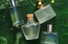 Whispers Between Perfume Notes
